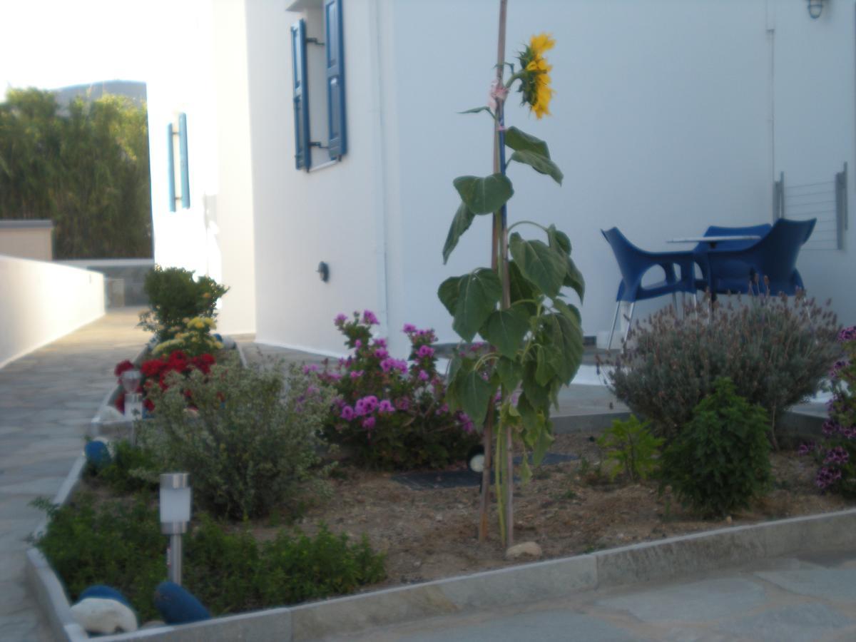 Studios Αγκυρα Livadi  Exterior photo